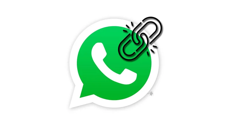 如何在 iPad 上使用 WhatsApp？